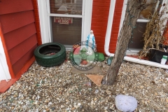 DSCN0062-watermarked